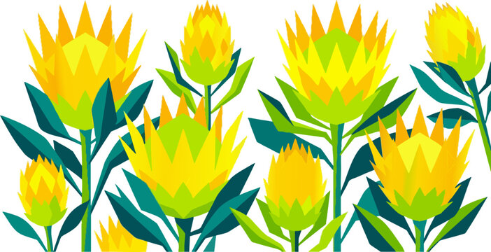 Yellow Protea Flower Illustration on White Background
