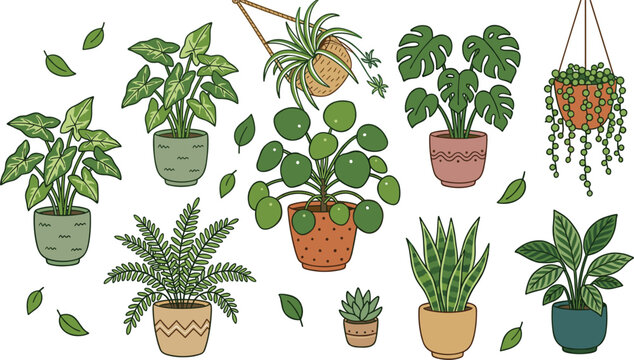 Potted Indoor Houseplants Vector Collection with Monstera Pilea Fern Snake Plant Caladium and Hanging String of Pearls Greenery Graphic Elements