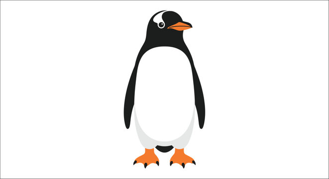 Gentoo penguin illustration flat vector graphic on a white background antarctic bird seabird wildlife animal avian ornithology design digital