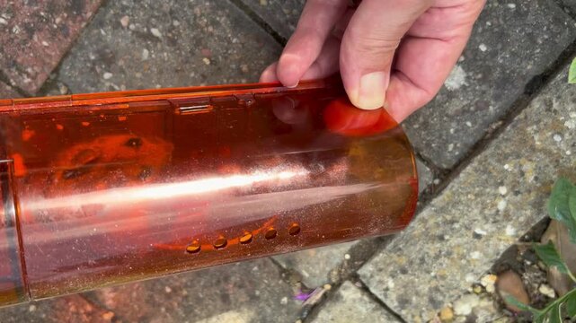 A wild mouse being released from a humane trap into an urban garden. High quality 4k footage
