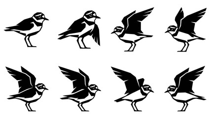 Bird Plover Silhouette Set: Standing and Flying Poses © varla