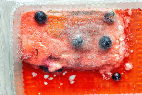 Red fruit cake covered with white and black soft fungal mold, top view. Fluffy fungi spores mold growing on fruitcake