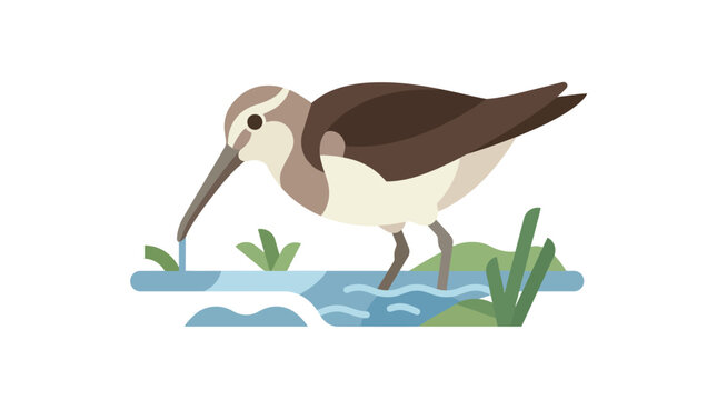 Flat design sandpiper bird wading in shallow water with grass and reeds