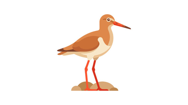 Illustration of a sandpiper bird standing on small rocks, isolated on white background