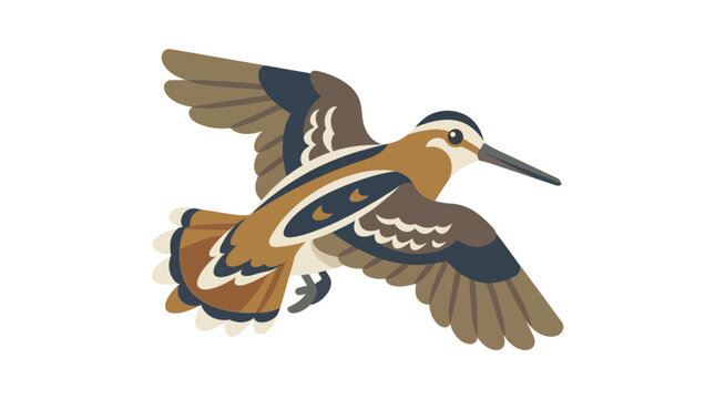 Woodcock Bird Flying Isolated White Background Illustration
