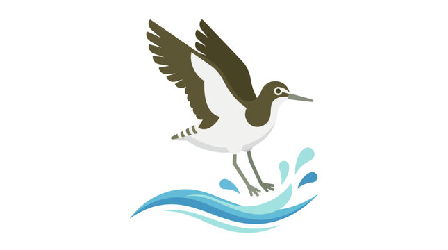Bird Flying Above Water, Shorebird, Sandpiper, Wildlife, Nature, Winged