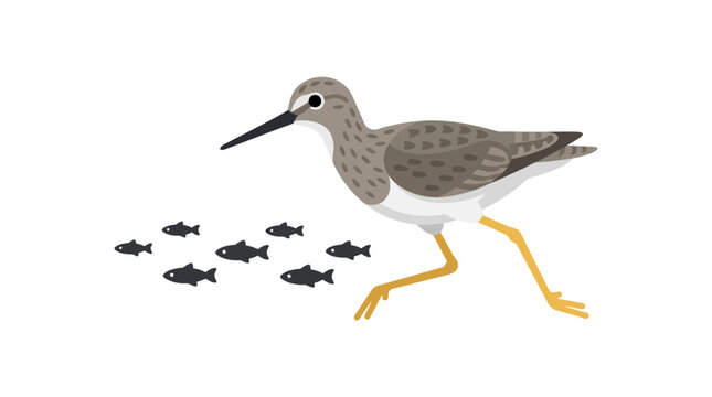 Bird chasing small fish on white background, illustration