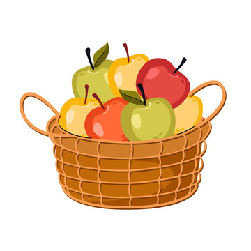 Wicker basket with fresh apples. Fruit harvest box. Autumn healthy food
