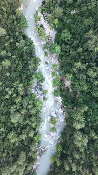 Aerial top-down view of a beautiful river flowing through the wild nature, 4K drone footage.