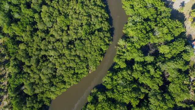 Aerial Wonders: The Meandering Beauty of Rio Tatuamunha, Porto de Pedras