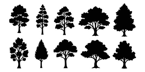 Tree Silhouette Set Featuring Deciduous and Coniferous Canopy Shapes for Landscape Architecture, Park Planning and Nature Design Vector Collection. © jack