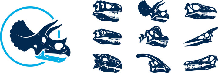 Dinosaur fossil illustrations showcase various skulls and bones in a museum exhibit. © Umbreon