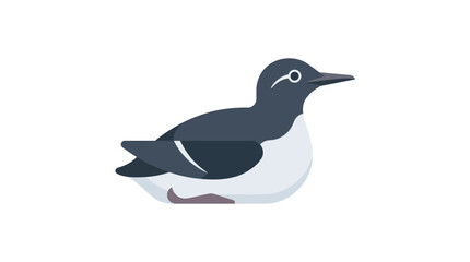 Cute cartoon guillemot bird illustration, isolated on white background. © ryo