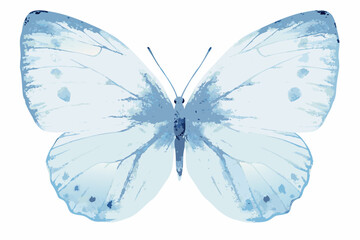Blue watercolor butterfly illustration with delicate wing patterns and a white background © Ankan