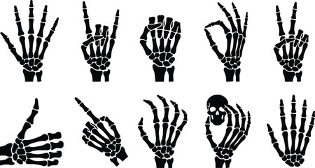 Fototapeta premium set of hand drawn hand drawn vector illustration