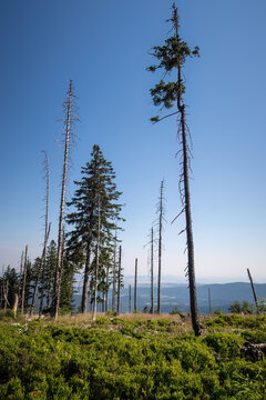 Panoramic border trail view between Zwercheck and Gro&szlig;er Osser overlooking the Bohemian Forest, Czech Republic