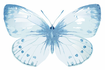 Blue Watercolor Butterfly Illustration With Delicate Wing Patterns And Soft Tones © Partha