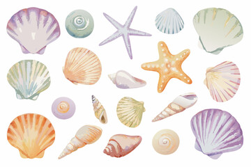 Watercolor seashell collection on a white background featuring various marine mollusk shells © Partha