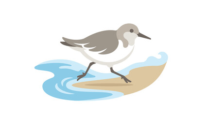 Sandpiper bird running on beach with ocean waves, isolated on white background © paloma