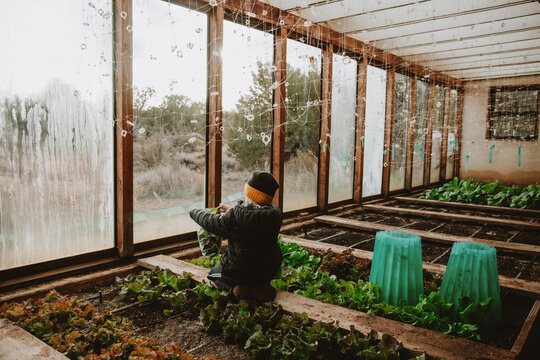 Little Boy in Greenhouse in Winter