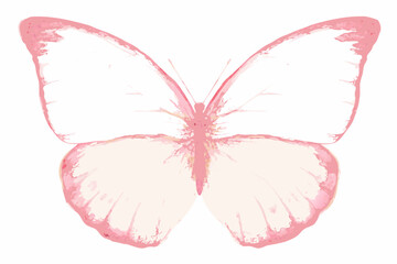 Delicate watercolor butterfly illustration with pink hues on a white background © Juel