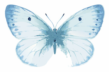 Watercolor blue butterfly illustration with delicate wing patterns and soft coloration © Juel