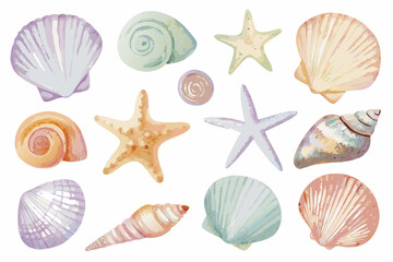 Watercolor seashell collection with starfish on a white background aquatic © Juel