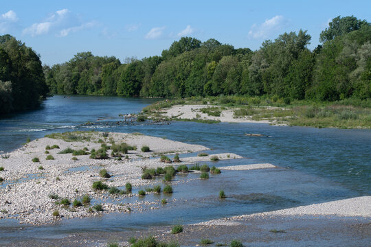 A scenic shot of a river flowing through a forest. Gravel banks and tufts of grass can be seen in the river.