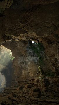 A cave scene shows sunlight filtering through an opening above. Moss grows on the rocks, and some plants cling to the stone surfaces. The space feels cool and earthy.