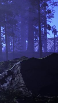 A forest with tall trees and a large rock in the foreground. The light is dim with a mist in the air. Shadows create a mysterious feeling in the woods during early evening.