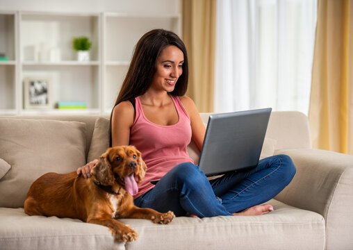 Woman Working Laptop.