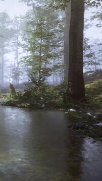 Green trees surround a small body of water reflecting light. Mist covers the area, and rocks are scattered near the waters edge. The scene shows a quiet natural setting.