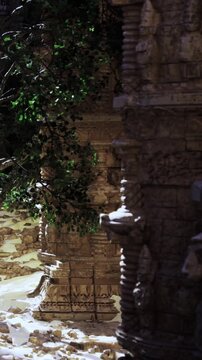 Detailed stone carvings on temple walls. Green plants grow around the stone. Sunlight shines on the area, highlighting the art and structure.