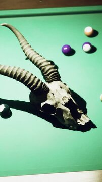 A goat skull with large horns sits on a green pool table. Several colored balls rest nearby as players enjoy a game. The setting is casual and likely in a bar or game room.