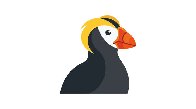 Cartoon Tufted Puffin Bird Illustration
