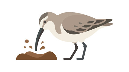 Cute cartoon sandpiper bird probing mud for food, flat illustration style. © MHM99