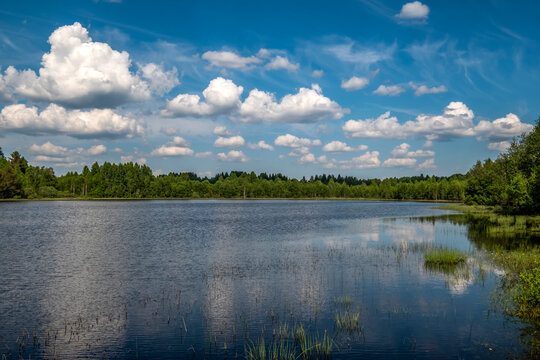 Scenic landscape of a calm lake in Karelia, Russia, with beautiful cumulus clouds reflecting in the mirror water