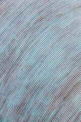 Fototapeta premium Abstract Turquoise Striped Texture With Curved Diagonal Lines And Subtle Distressed Patina Background