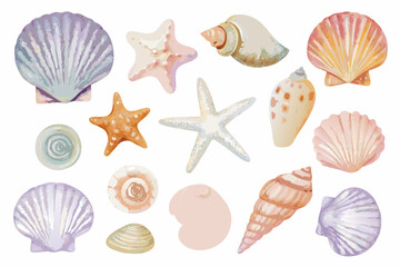 Watercolor seashell collection on a white background featuring various marine mollusk shells © Satyajit