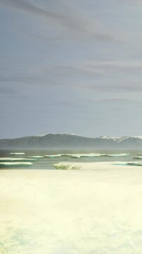 The scene shows a vast landscape where snow covered mountains sit in the background. Icebergs float on the water, and the sky is overcast. The setting is quiet and remote.