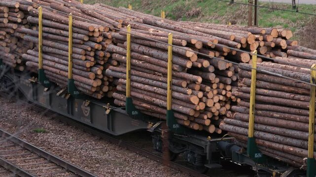 Close view of stacked timber logs loaded on freight rail wagons