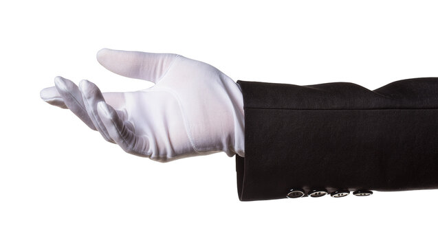 Isolated hand in a pristine white glove and black suit jacket, gesturing to present