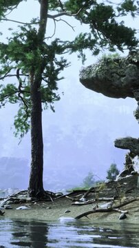 A tall tree stands near a rocky area by the water. The shore is formed by sand and roots. The scene is quiet with mist over the water in the early morning hours.