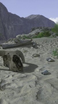 A dry desert scene shows a skull resting on sandy ground near some rocks. Mountains rise in the background under a blue sky with scattered clouds. Green plants are also present.