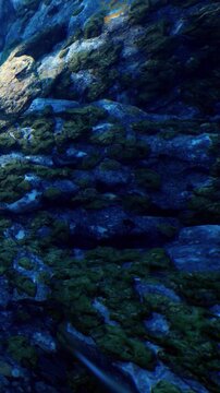 Bright light shines on rocks covered in green algae underwater. The colors create a clear view of the textures and shapes of the rocks.
