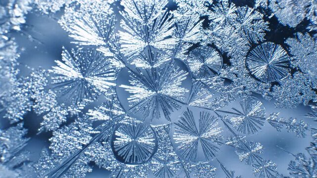 Extreme macro shot of complex ice crystal formation on cold surface with blue lighting; detailed geometric structure of a single snowflake showing frozen dendrites and symmetry.