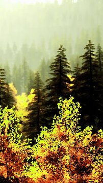 Tall trees stand in a forest filled with bright yellow and orange leaves. Sunlight filters through the branches, creating a warm atmosphere in the autumn season.