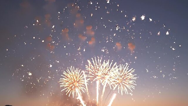Colorful fireworks exploding against a dark evening sky