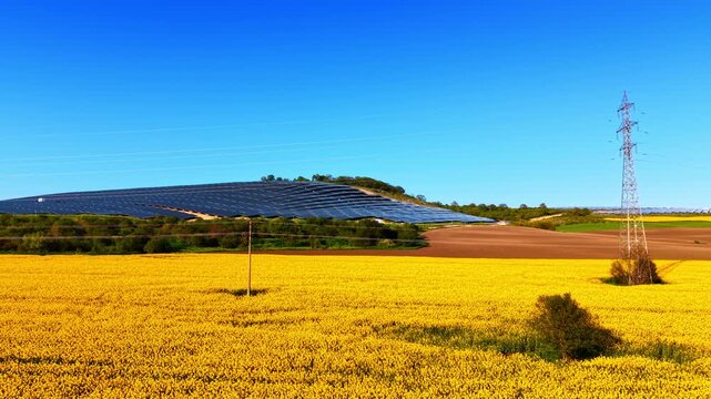 Solar panels beside flowering rapeseed field and power line, pylon rises over yellow crops.