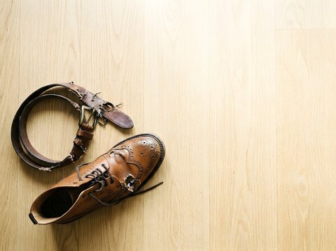 Chewed brown leather shoe and shredded belt lying on a light wood floor with bright side light and ample space
